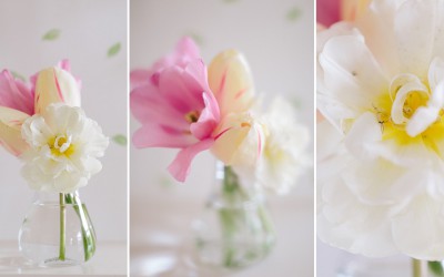 Blumen aus dem Garten