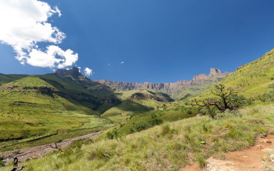 Reise nach Südarfika – Teil 1: Es grünt so grün